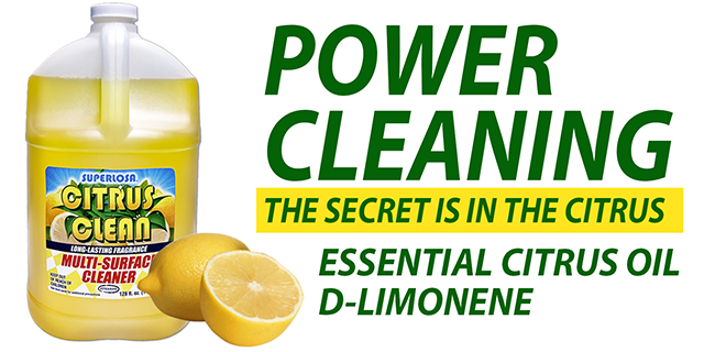 superlosa power cleaning secret
